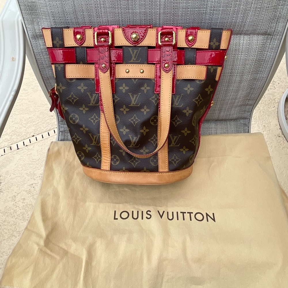 Louis Vuitton double strap shoulder bag